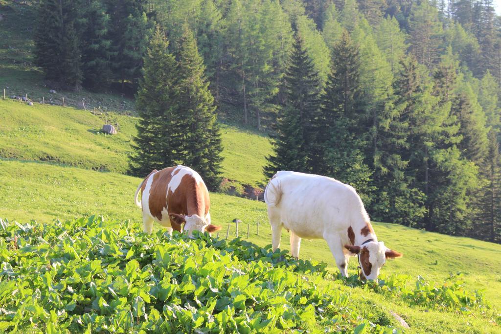 Salzburger Dolomitenhof Annaberg-Lungötz Extérieur photo