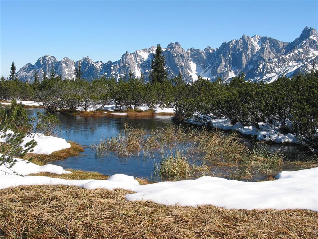 Salzburger Dolomitenhof Annaberg-Lungötz Extérieur photo