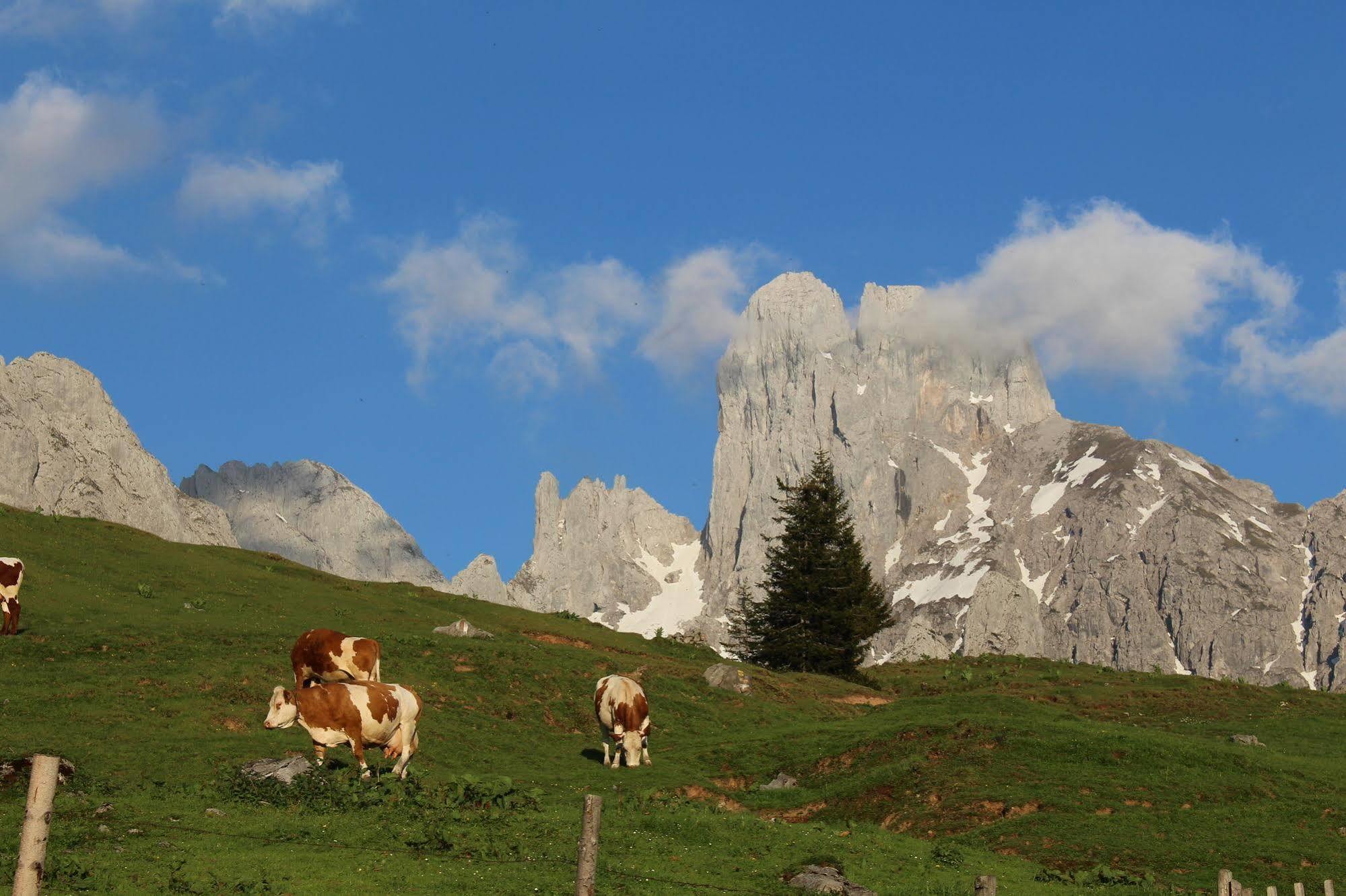 Salzburger Dolomitenhof Annaberg-Lungötz Extérieur photo